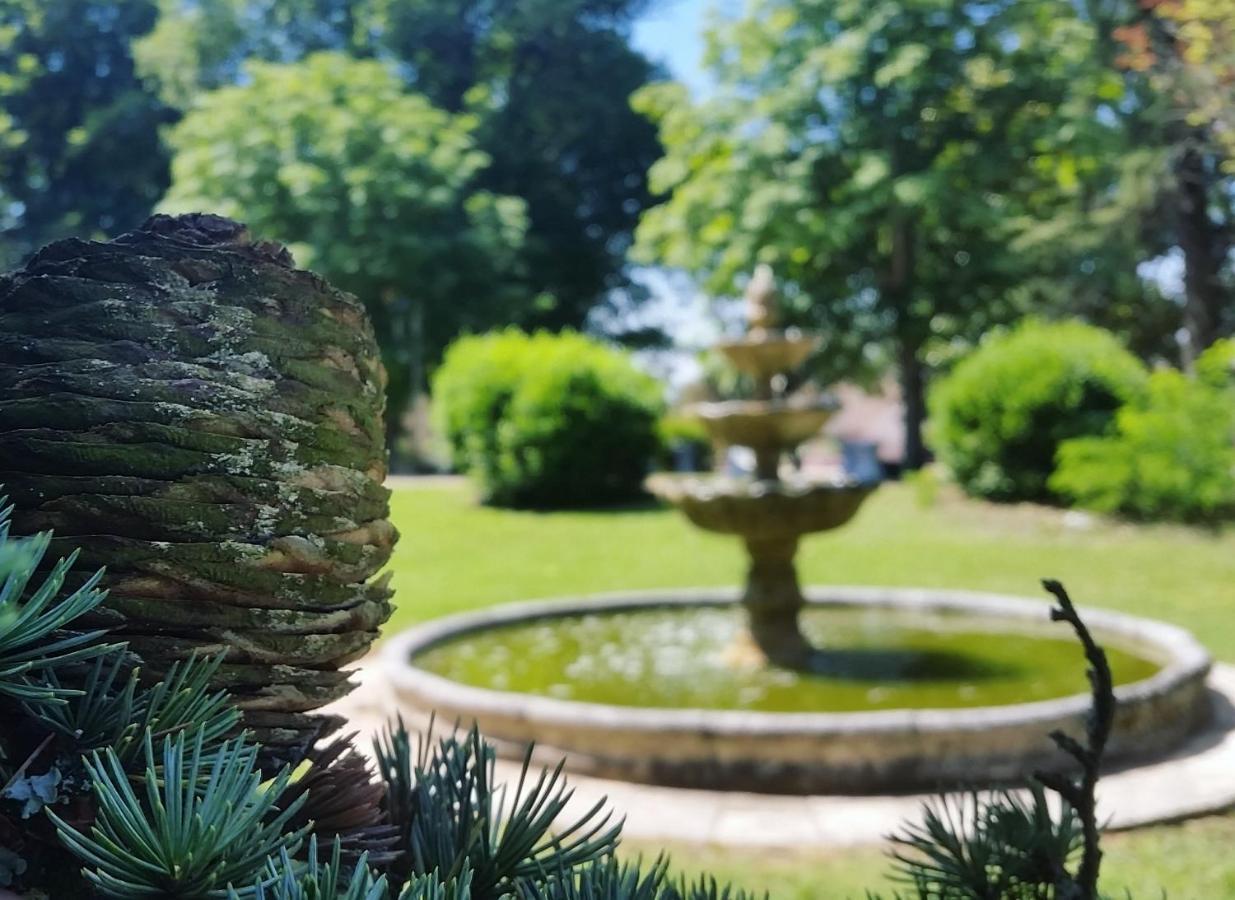 Hotel Château Marith - Etablissement climatisé avec Piscine Clairac  Exterior foto